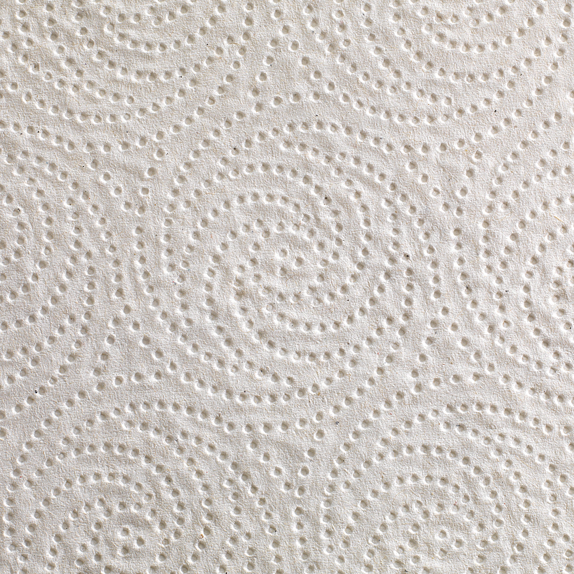 גליל מגבת נייר מחורר דו-שכבתי כחול PACIFIC BLUE BASIC™ של GP PRO, לבן, (12 גלילים של 55.88 מטרים סהכ 670.56 מטרים) 3,000 גליונות למארז